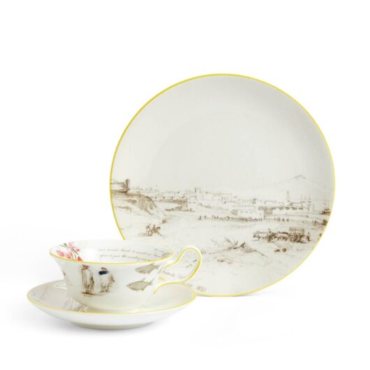 Darwin Voyage of the Beagle Uruguay Teacup Saucer Plate, 3 Pieces