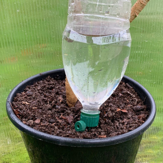 Bottle Irrigation Kit With Tap Adjusted Flow - Pack of 16