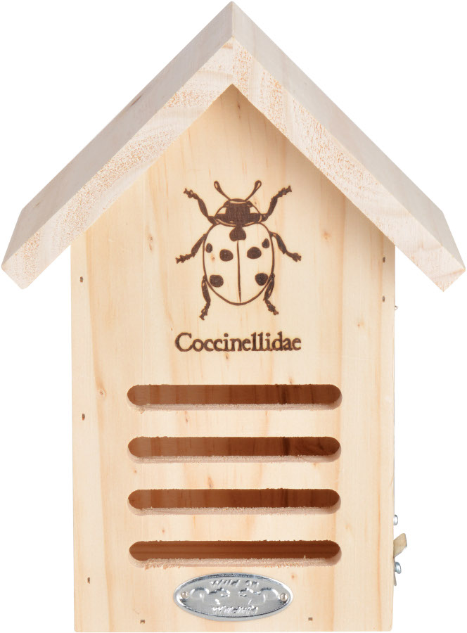 Wooden Ladybird House